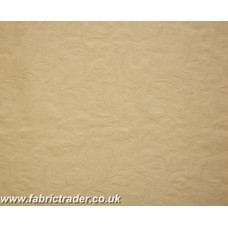 Mumbia in Cream 