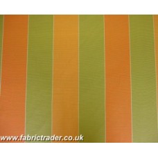 Tara Stripe in Green Tan