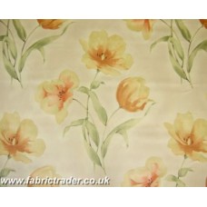 Jardin in Cream Apricot